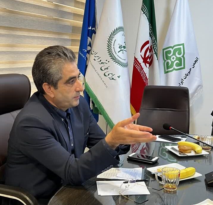 شورای ملی نخود